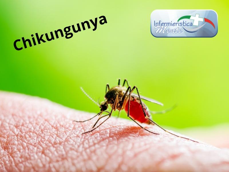 Allarme Chikungunya in Cina: scattano misure anti-Covid